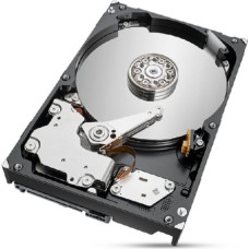 Seagate Cietais Disks Seagate ST2000NT001 3,5