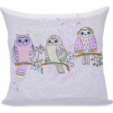 Decoking CHP/OWLS/SPRINGSTORY/80x80