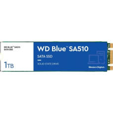 Western Digital Жесткий диск Western Digital WDS100T3B0B 1TB 1000 GB SSD