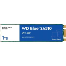 Western Digital Cietais Disks Western Digital WDS100T3B0B 1TB 1000 GB SSD