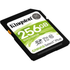 Kingston Карта памяти SD Kingston SDS2/256GB 256 GB