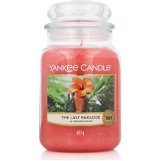 Yankee Candle Aromātiska svece Yankee Candle Hibisks (623 g)