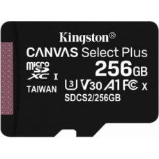 Kingston Micro SD karte Kingston SDCS2/256GBSP 256GB