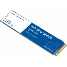 Western Digital Жесткий диск Western Digital BLUE 250 GB SSD