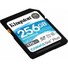 Kingston SD Atmiņas Karte Kingston SDG3/256GB