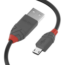 Lindy USB Kabelis LINDY 36734 Melns 3 m (1 gb.)