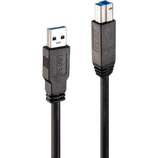 Lindy Кабель USB A — USB B LINDY 43098 10 m Чёрный