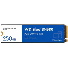 Western Digital Cietais Disks Western Digital 500 GB SSD