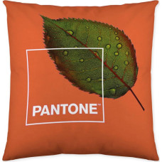 Pantone Spilvendrāna Nature Abpusējs (50 x 50 cm)