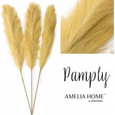 PAMPAS/AH/PAMPLY/HONEY/110CM/3PCS