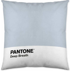 Pantone Spilvendrāna Deep Breath Pantone (50 x 50 cm)