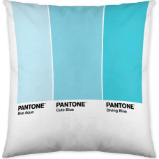 Pantone Spilvendrāna Ombre Abpusējs (50 x 50 cm)