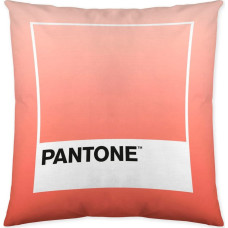 Pantone Spilvendrāna Ombre B Abpusējs (50 x 50 cm)