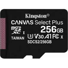 Kingston Micro SD karte Kingston SDCS2/256GBSP 256 GB