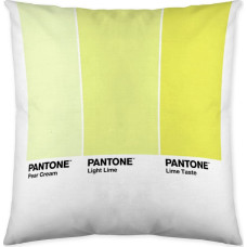 Pantone Spilvendrāna Ombre C Abpusējs (50 x 50 cm)