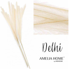 PAMPAS/AH/DELHI/CREAM/125CM/3PCS