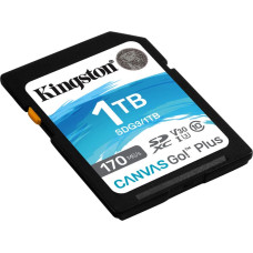 Kingston Micro SD karte Kingston SDG3/1TB