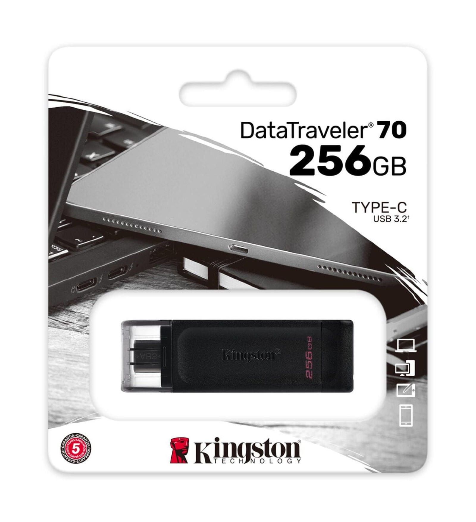 Kingston USB Zibatmiņa Kingston DT70/256GB