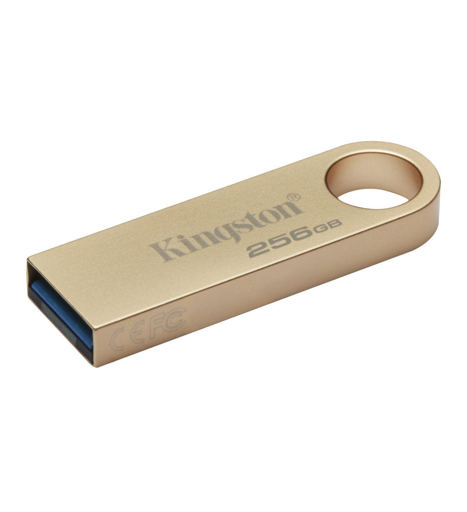 Kingston USB Zibatmiņa Kingston DTSE9G3/256GB 256 GB Bronza