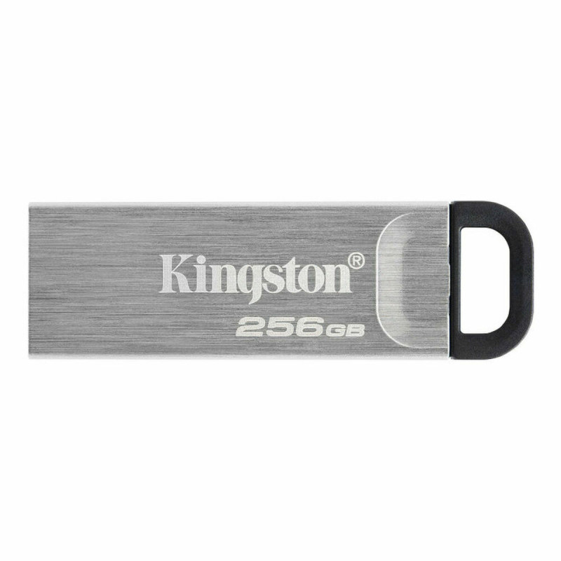 Kingston USB Zibatmiņa Kingston DTKN/256GB Melns 256 GB