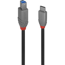 Lindy USB-C uz USB B Kabelis LINDY 36666 1 m