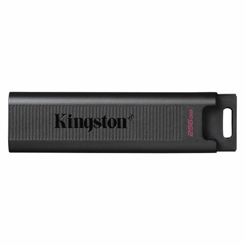 Kingston USB Zibatmiņa Kingston DTMAX/256GB Melns 256 GB