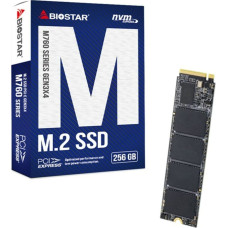 Biostar Cietais Disks Biostar M760 256 GB SSD