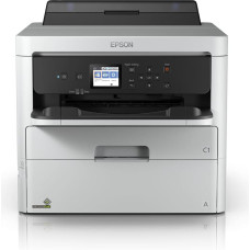 Epson Printeris Epson C11CG79401