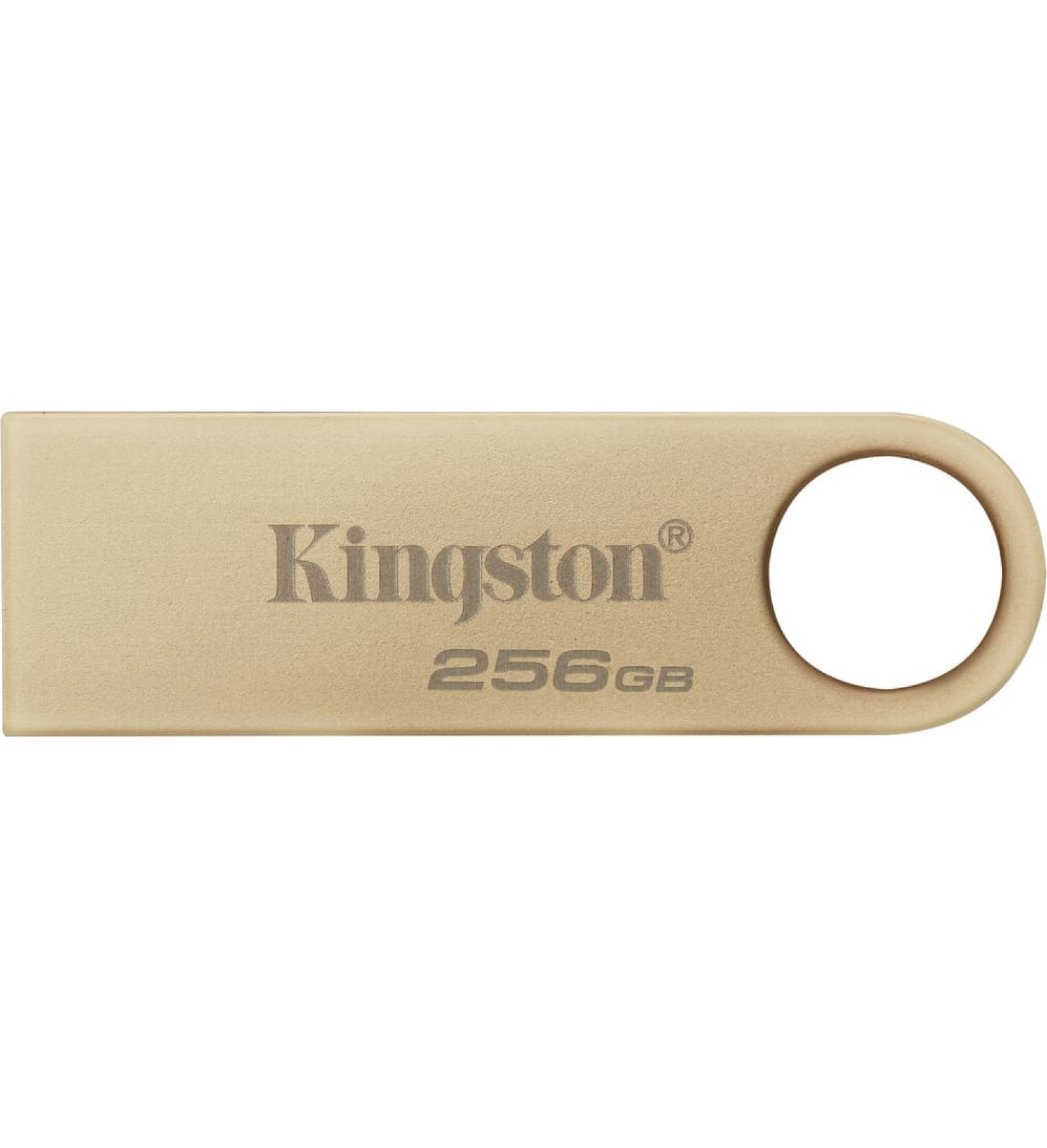 Kingston USB Zibatmiņa Kingston DTSE9G3/256GB Bronza 256 GB (1 gb.)